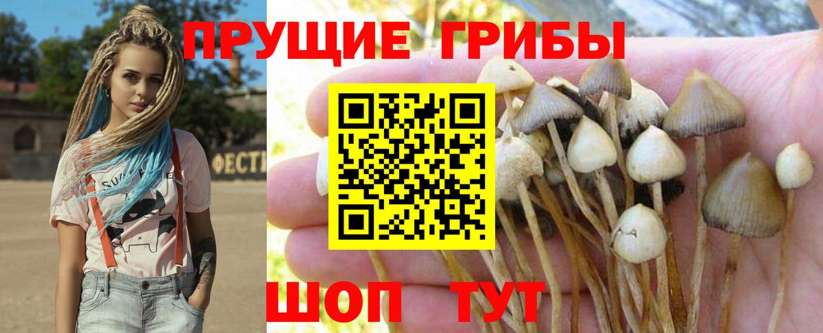 Псилоцибиновые грибы MAGIC MUSHROOMS  Псилоцибиновые грибы Psilocybe  Вход с VPN  Горячий Ключ 