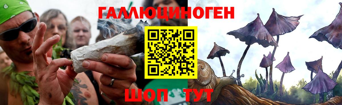 Псилоцибиновые грибы мухоморы Горячий Ключ